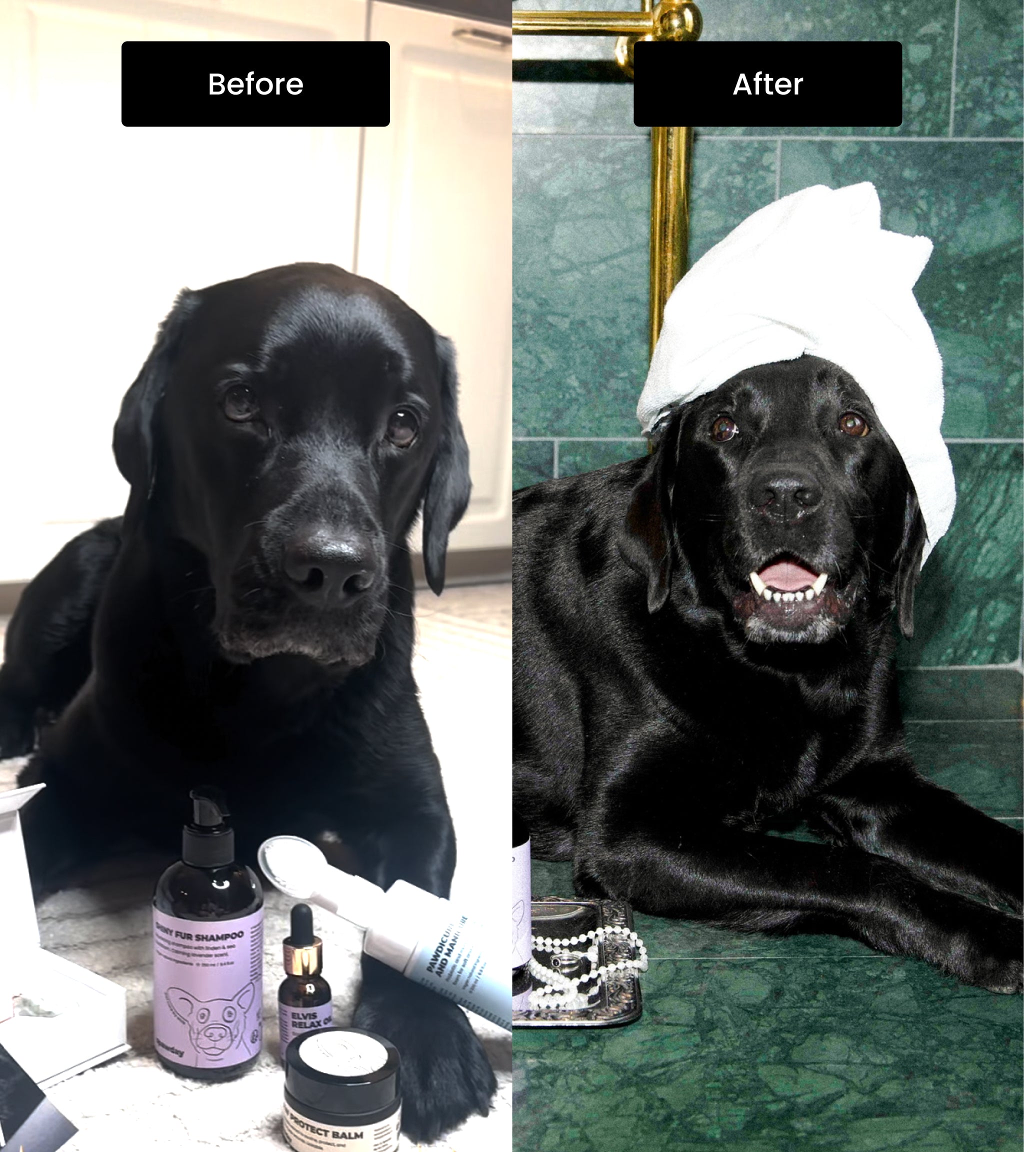 Pawdicure & Manicure Wash