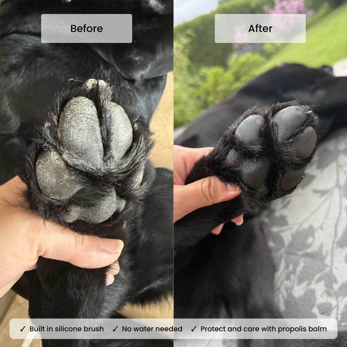 Elvis Spaw Kit - The Complete Dog Care Ritual