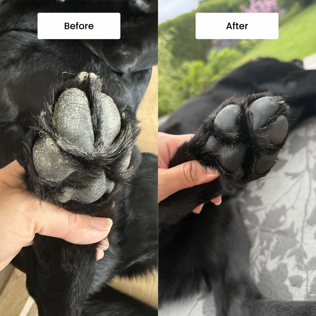 Pawdicure Set - For Dry and Dirty Paws