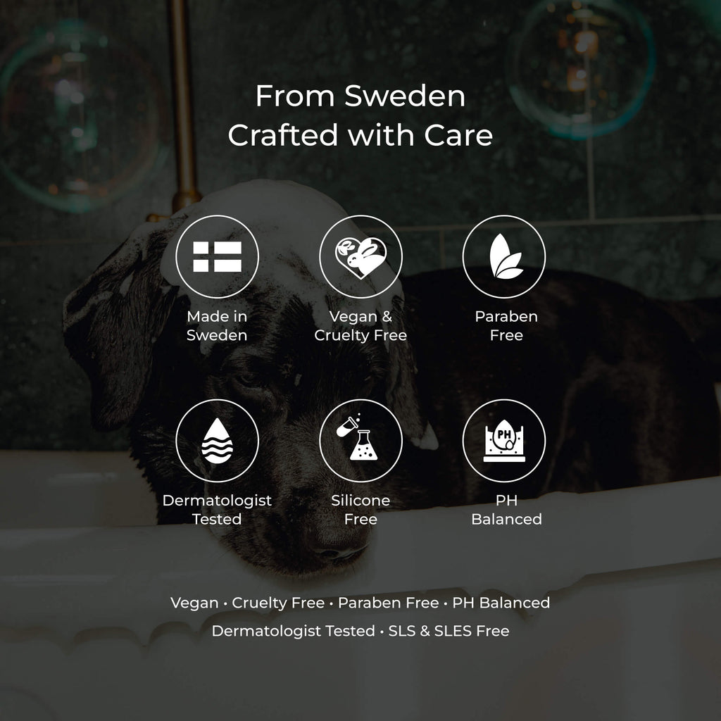 Weekly Routine - Wash and Care Kit