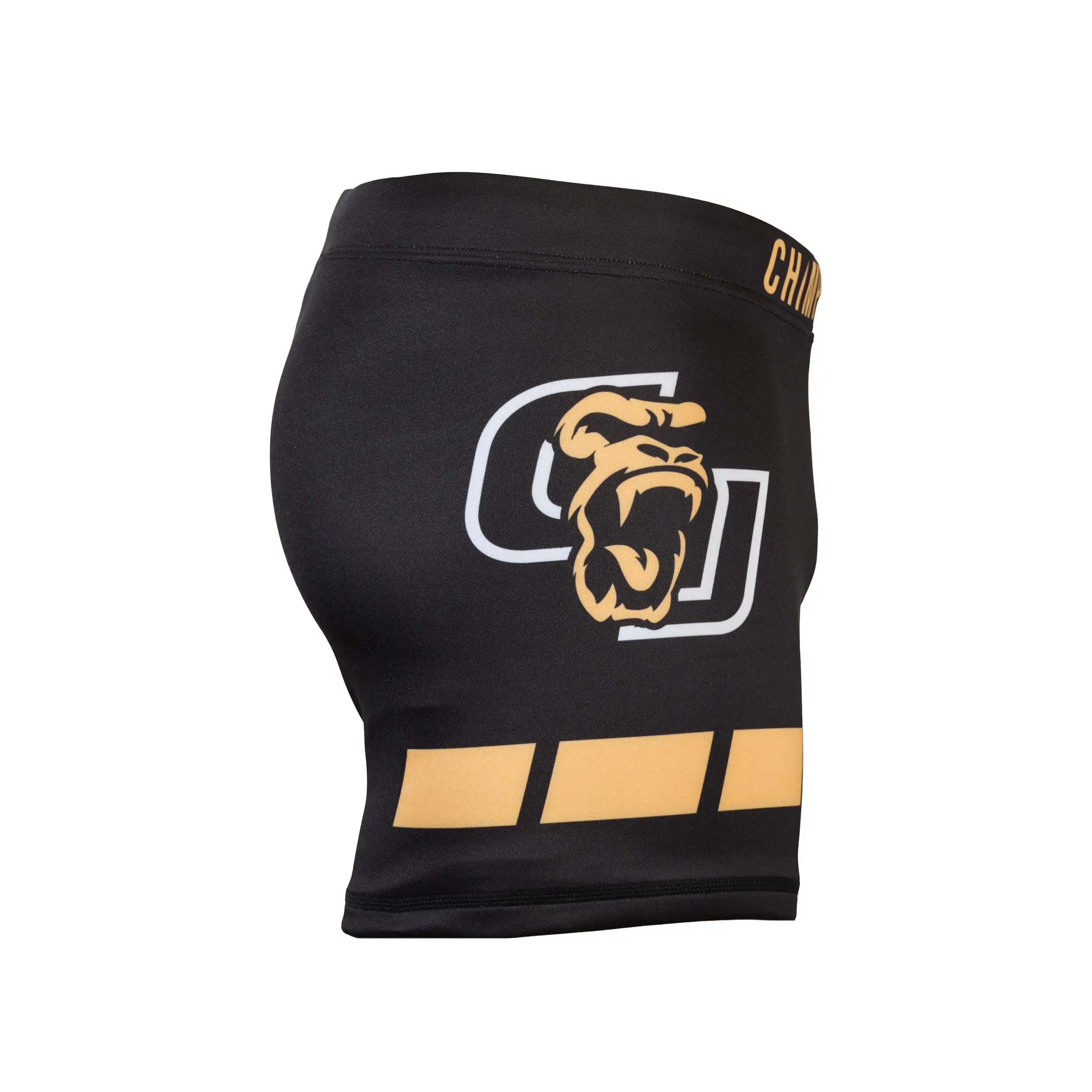 Guardian Vale Tudo Shorts