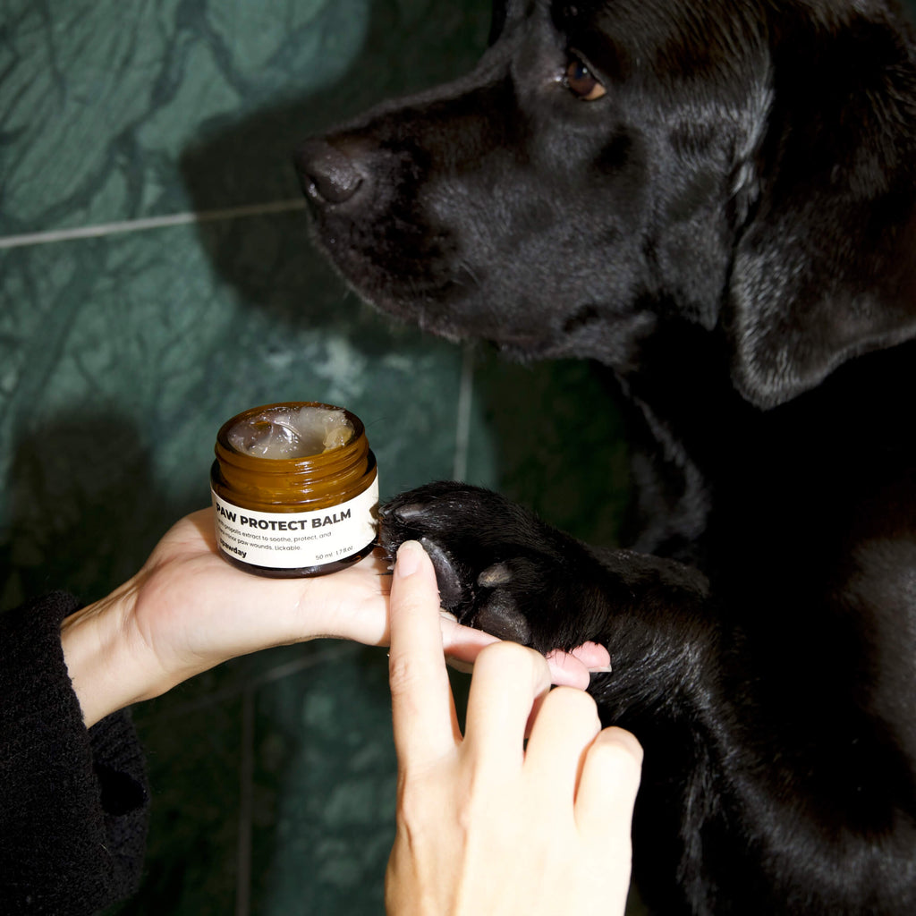 Paw Protect Balm 2 pack - For Dry Paws and Noses