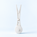 Flossy reusable dental flosser