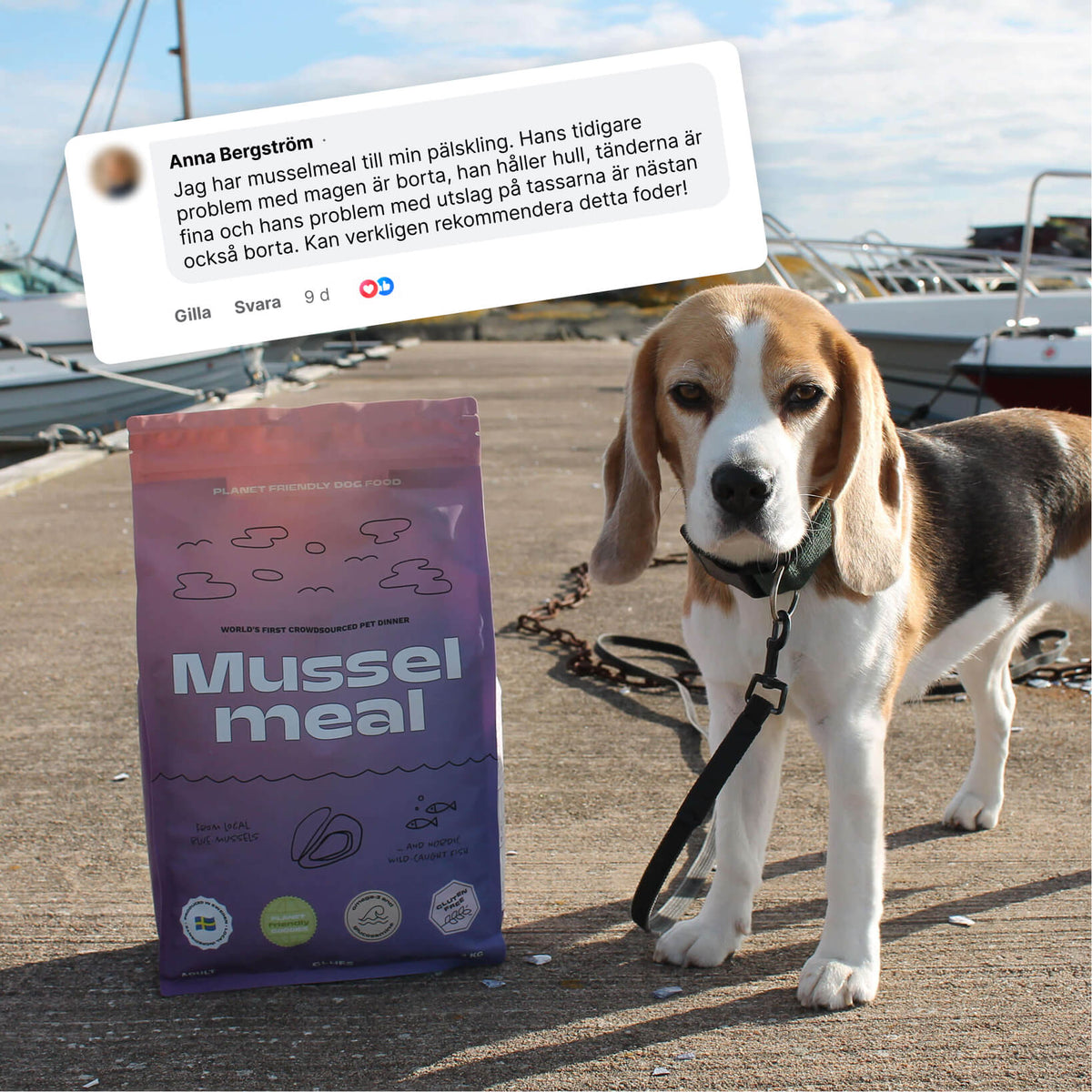 Musselmeal